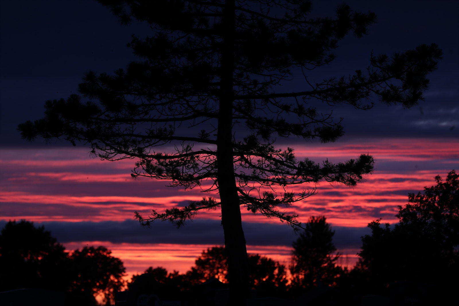 Red at night